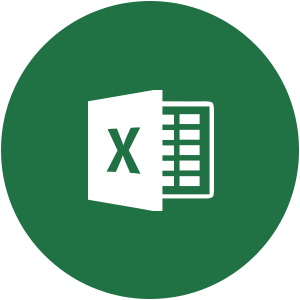 MS Excel